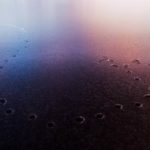 Tracks of a bird on the frozen surface of a lake